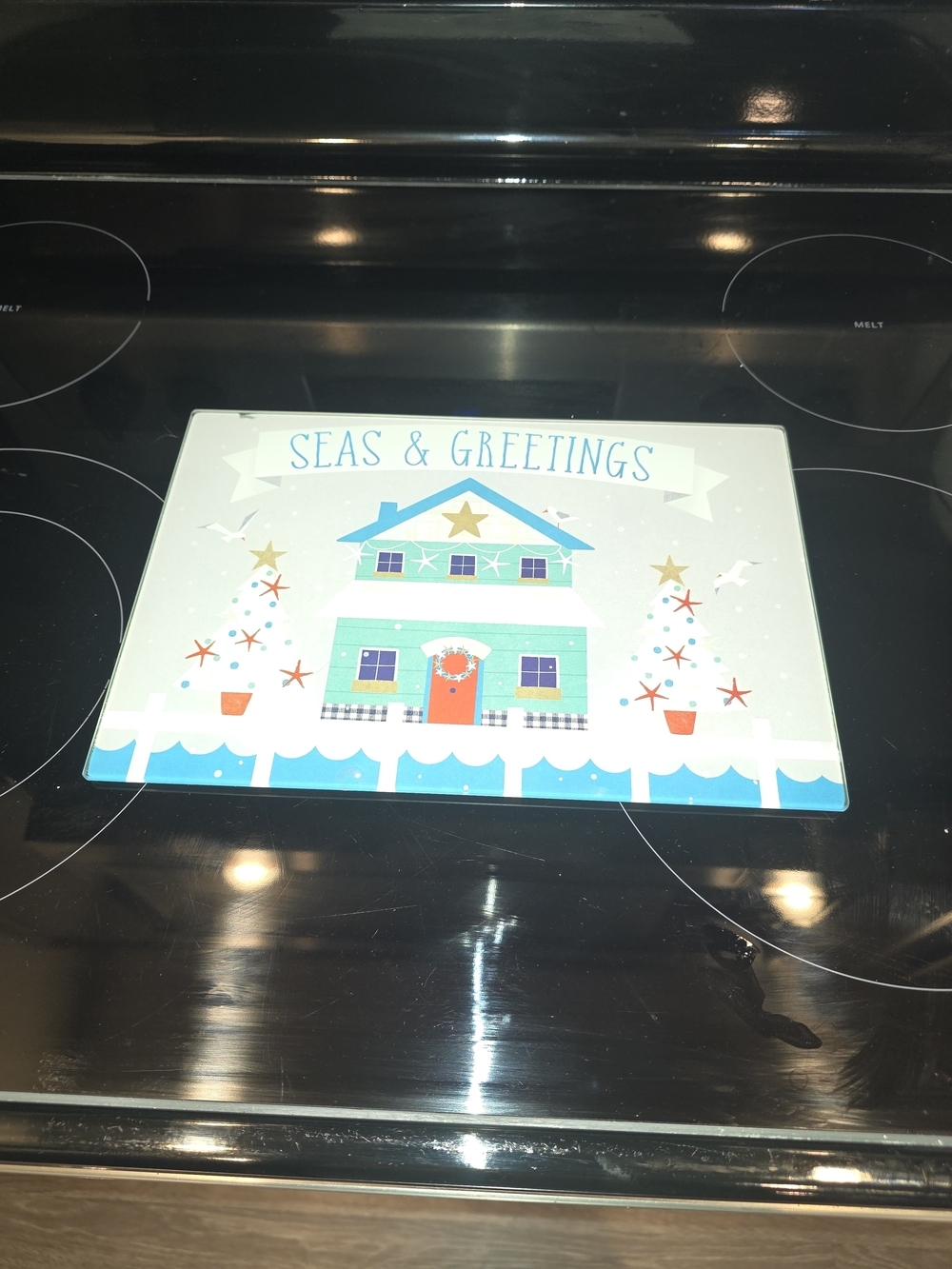 GlassCoastal Holiday Placemat - Aqua and White
